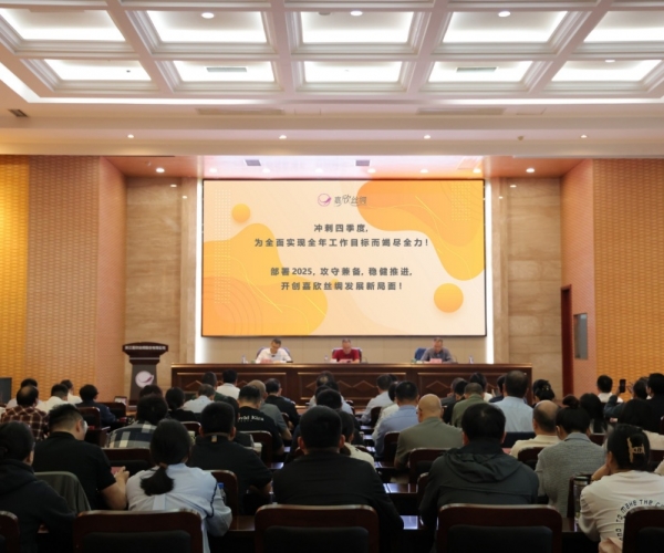 嘉欣絲綢2024年三季度經(jīng)濟(jì)形勢分析會順利召開